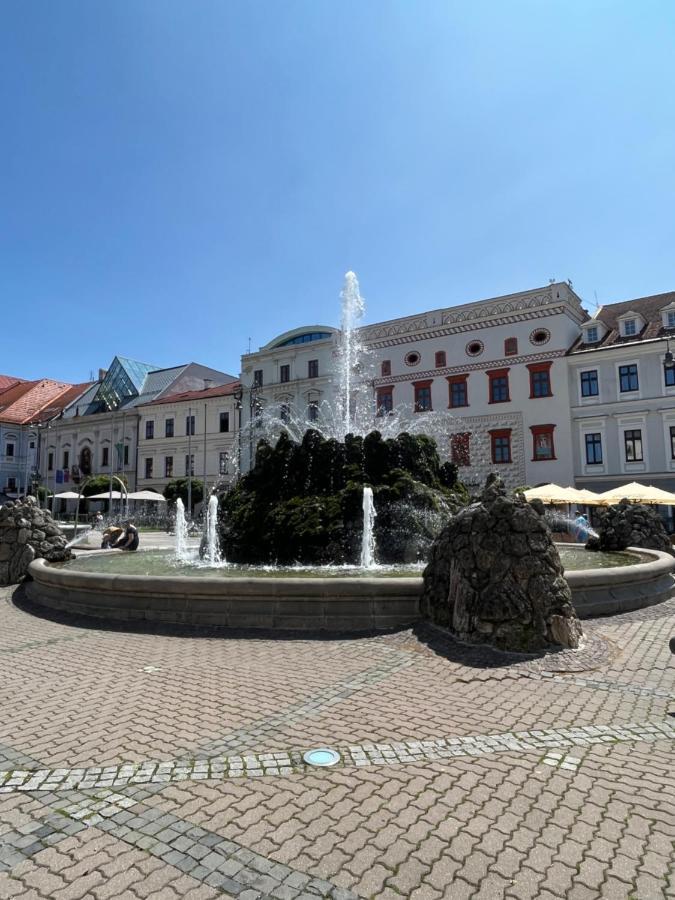 Apartman Viki Банська Бистриця Екстер'єр фото