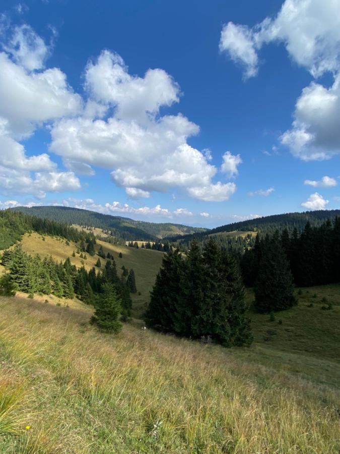 Apartman Viki Банська Бистриця Екстер'єр фото